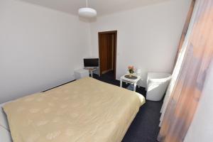 Voodi või voodid majutusasutuse Hotel Trilobit toas