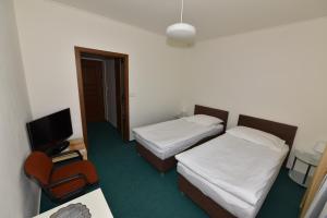 Voodi või voodid majutusasutuse Hotel Trilobit toas