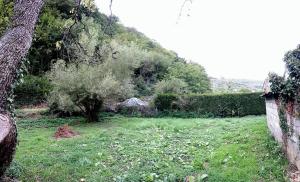 einen Hof mit einer Wand, einem Baum und Büschen in der Unterkunft Landrichamps in Landrichamps