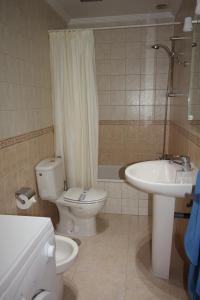 a bathroom with a toilet and a sink and a shower at Cala Apartamentos in Giniginámar