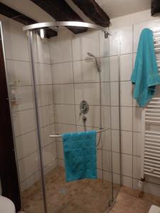 a shower with a blue towel in a bathroom at Haus Mosel-Oase in Cochem