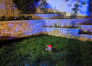O grădină în afara Valea Stâncii