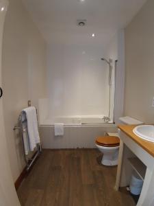 a bathroom with a toilet and a bath tub at Bull Inn in Reading