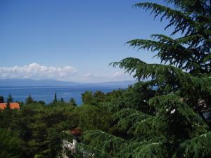 a view of the ocean from a tree at Apartments Villa Elizabet in Malinska