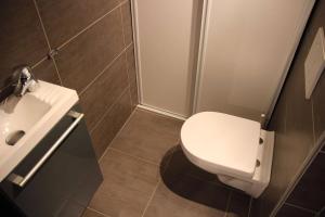 a bathroom with a white toilet and a sink at Gîte Groseille in Ribeauvillé