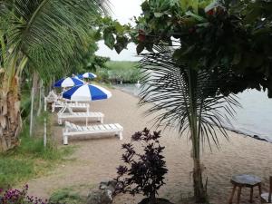 two benches with umbrellas on a beach next to the water at White Stone Beach Resort in Mbita