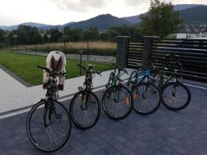Jazda na bicykli v okolí ubytovania Apartamenty Górskie Widoki koło Szczyrku