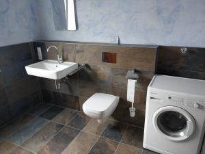 a bathroom with a toilet and a sink and a washing machine at Ferienwohnung Thöne in Horstmar