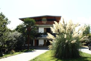 une maison avec des palmiers devant elle dans l'établissement Isev Kvareli, à Kvareli