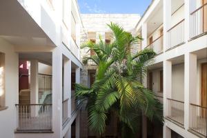 Balkón nebo terasa v ubytování Billini Hotel, Historic Luxury