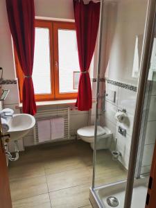 a bathroom with a shower and a toilet and a sink at Hotel Oyer Hof - selbst Service in Oy-Mittelberg