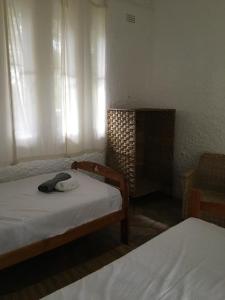 Kwekwe的住宿－Nyangombe Backpackers，一间卧室配有两张床,床上有一顶帽子