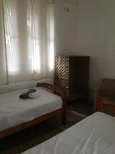 1 dormitorio con 2 camas y un sombrero en la cama en Nyangombe Backpackers, en Kwekwe