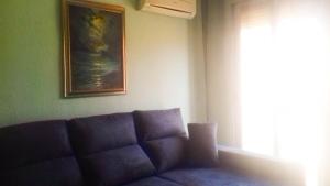 un sofá en una sala de estar con una pintura en la pared en Private Apartment Horticultor Bosch, en Valencia