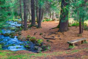 Paesaggio naturale nelle vicinanze della casa vacanze