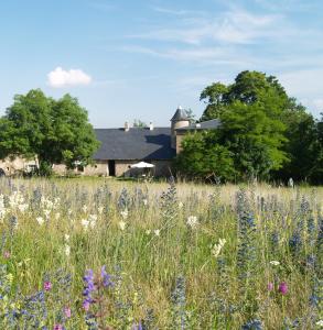un champ de fleurs avec une maison en arrière-plan dans l'établissement Domaine De Pradines, à Lanuéjols