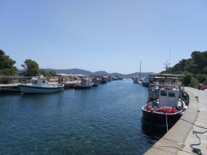 Táj Show holiday homes közelében