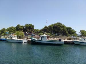 Táj Show holiday homes közelében