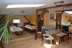 Hostel Gwarek في كاتوفيسي: غرفة معيشة مع أريكة وسرير