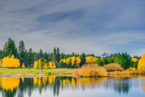Paesaggio naturale nelle vicinanze della casa vacanze
