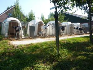 Zahrada ubytování Boerderij "De Verwondering"