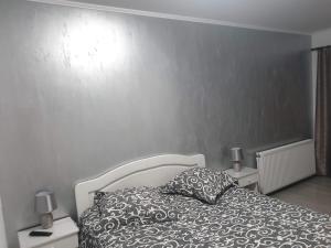 ein Schlafzimmer mit einem Bett und zwei Tischen mit Lampen in der Unterkunft Pensiunea Gallamar in Bîrlad