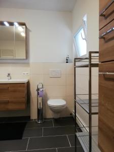 łazienka z toaletą, umywalką i lustrem w obiekcie Ferienwohnung Schmied 3 w mieście Hainbach +17 zdjęć