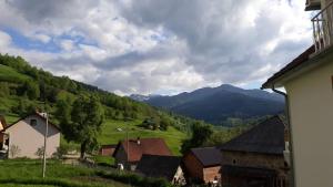 a view of a village with mountains in the background at Apartment Little Village in Plav