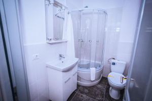 uma casa de banho com um WC, um lavatório e um chuveiro em HOTEL GLARIS em Tîrgu Frumos