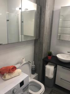 een badkamer met een toilet, een wastafel en een spiegel bij Apartament Winorośli in Warschau +40 foto's