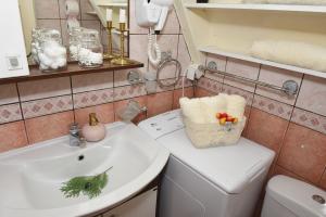 ein Badezimmer mit Waschbecken und Toilette und Waschbecken in der Unterkunft Višnjin Dom in Divčibare
