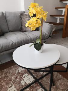 منطقة جلوس في Apartments and Rooms Distecon