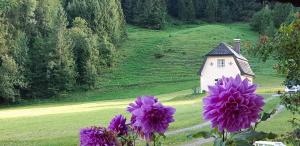 Peisaj natural din apropierea acestei case de vacanță