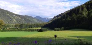 Peisaj natural din apropierea acestei case de vacanță