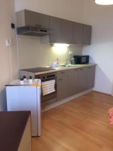 Kuchyň nebo kuchyňský kout v ubytování Apartmán na náměstí