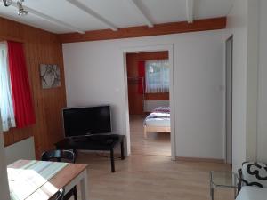 een woonkamer met een televisie en een slaapkamer bij Wohnung Wohlensee in Hinterkappelen