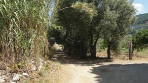 Photo de la galerie de l'établissement Villa Primaluce, à Pizzo