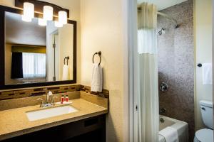 Days Inn by Wyndham Monterey Downtown في مونتيري: حمام مع حوض ومرآة