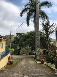 a palm tree in the middle of a dirt road at Pousada Verde Maratea in Piranguçu