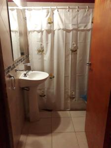 uma casa de banho com um lavatório e um chuveiro com uma cortina de chuveiro em Mainame Traslasierra em Los Hornillos