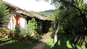 a house with potted plants on the side of it at Finca San Pedro in Sogamoso