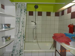 a bathroom with a shower and a tub at LE KATZALA in Mulhouse +14 photos