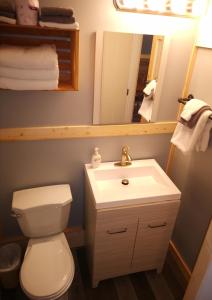 a bathroom with a toilet and a sink and a mirror at Overlook Inn & Cabins in Clearwater