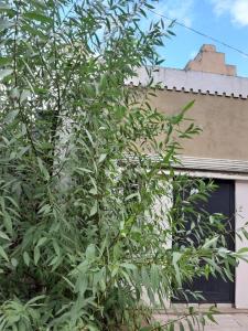 Zahrada ubytování Квартира новая