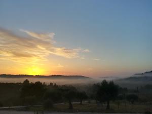 a misty sunrise with the sun rising in the background at Casa do Mundo in Calhariz