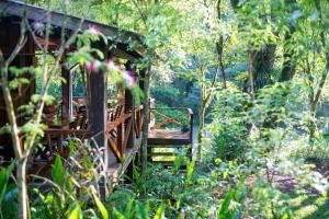 
Un jardín fuera de Margay - Reserva Natural y Lodge de Selva
