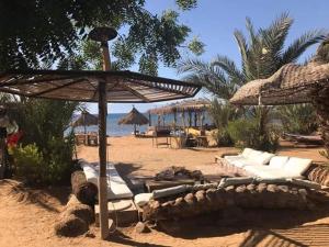 a beach with chairs and umbrellas on the sand at Nakhil Inn Nuweiba in Nuweiba