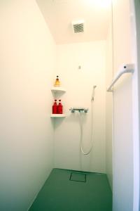 a bathroom with a shower with a green floor at kODATEL コダテル 札幌大通公園 アネックス in Sapporo