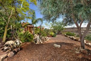 a path leading to a house with trees and rocks at Shangri-Hila Lodge in Mitzpe Hila