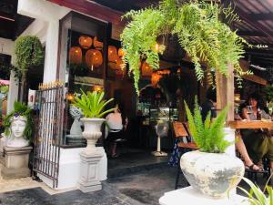 a store with two large vases with plants in it at Soi One Boutique Bedrooms in Pai